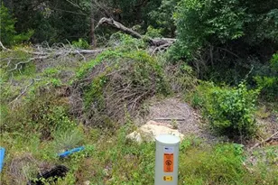 Lot 315 Private Road 1745 Rd, Mico, TX 78056 - Photo 1