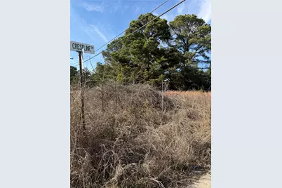 Lot 20 Indian Oak Drive, Bastrop, TX 78602 - Photo 15