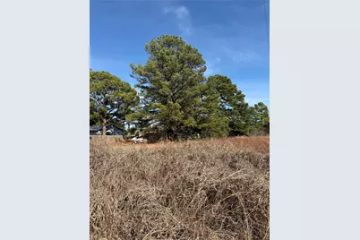 Lot 20 Indian Oak Drive, Bastrop, TX 78602 - Photo 5