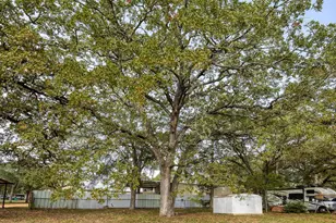 504 Hickory St, Smithville, TX 78957 - Photo 23