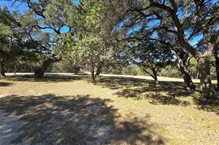 351 Live Oak Trail, Liberty Hill, TX 78642 - Photo 1