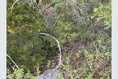 14602 Rock Cliff Cove, Leander, TX 78641 - Photo 11