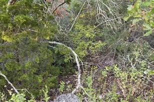 14602 Rock Cliff Cove, Leander, TX 78641 - Photo 11