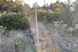 14602 Rock Cliff Cove, Leander, TX 78641 - Photo 17