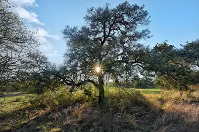 343 Cattle Creek Drive, Johnson City, TX 78636 - Photo 13