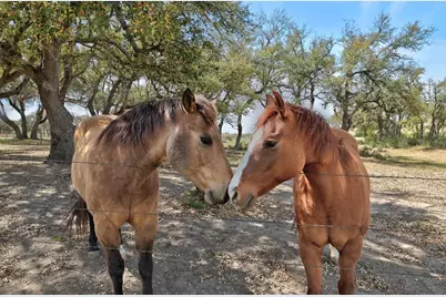 343 Cattle Creek Drive, Johnson City, TX 78636 - Photo 17