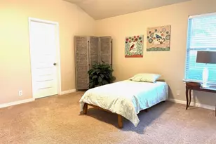 227 Avalanche Ave, Georgetown, TX 78626 - Photo 27