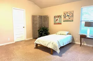 227 Avalanche Ave, Georgetown, TX 78626 - Photo 27