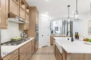 353 Blue Summit Bnd, Liberty Hill, TX 78642 - Photo 5