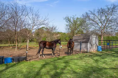 902 Ray Berglund Boulevard, Round Rock, TX 78664 - Photo 5