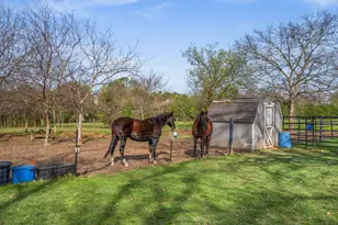 902 Ray Berglund Blvd, Round Rock, TX 78664 - Photo 5