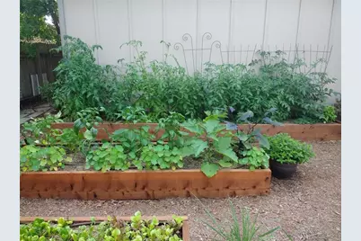 7809 Wakefield Drive, Austin, TX 78749 - Photo 19