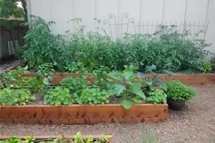 7809 Wakefield Dr, Austin, TX 78749 - Photo 19