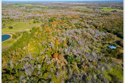 272 Deadwood Road, Cedar Creek, TX 78621 - Photo 3