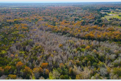 272 Deadwood Road, Cedar Creek, TX 78621 - Photo 27