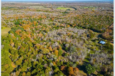 272 Deadwood Road, Cedar Creek, TX 78621 - Photo 5