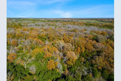 272 Deadwood Road, Cedar Creek, TX 78621 - Photo 21