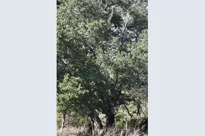 272 Deadwood Road, Cedar Creek, TX 78621 - Photo 23
