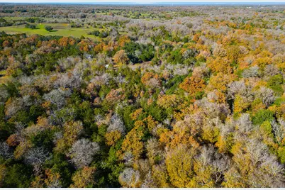 272 Deadwood Road, Cedar Creek, TX 78621 - Photo 29