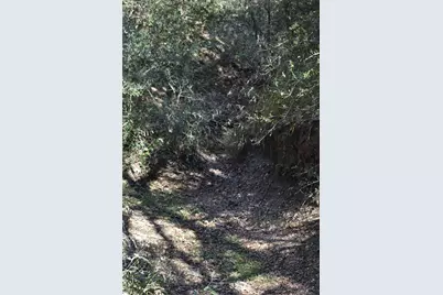 272 Deadwood Road, Cedar Creek, TX 78621 - Photo 19