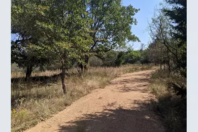 272 Deadwood Road, Cedar Creek, TX 78621 - Photo 11
