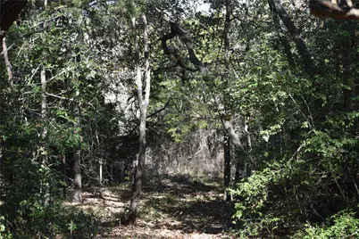 272 Deadwood Road, Cedar Creek, TX 78621 - Photo 5