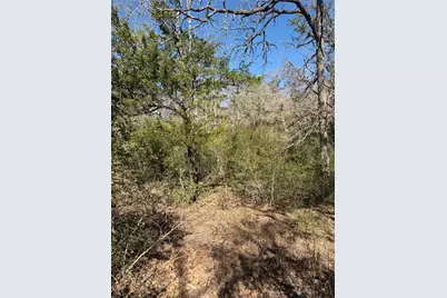 Lot 109 Wailupe Circle, Bastrop, TX 78602 - Photo 7