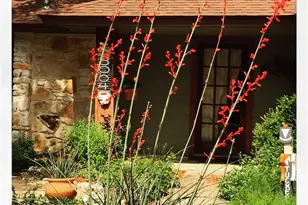 8004 Downing St, Austin, TX 78759 - Photo 3