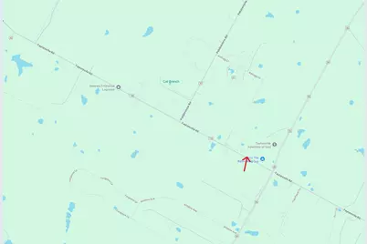 Tbd Taylorsville Road, Dale, TX 78616 - Photo 7