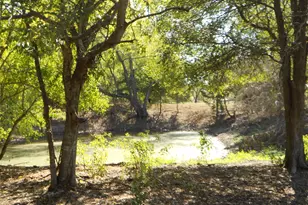 377 Crooked Rd, Dale, TX 78616 - Photo 21