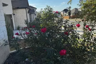 129 Cotton Tree Ter, Dripping Springs, TX 78620 - Photo 3