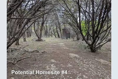 701 Plant Lady Lane, Dripping Springs, TX 78620 - Photo 23