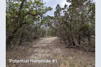 701 Plant Lady Lane, Dripping Springs, TX 78620 - Photo 5