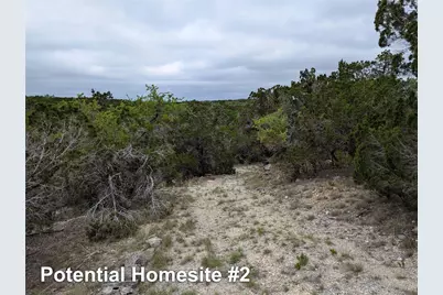 701 Plant Lady Lane, Dripping Springs, TX 78620 - Photo 11