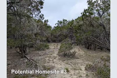 701 Plant Lady Lane, Dripping Springs, TX 78620 - Photo 19