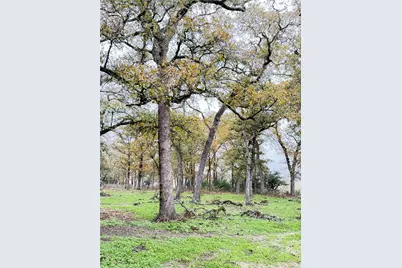 11791 Silver Springs Road, Rockdale, TX 76567 - Photo 33