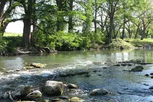 730 E Mather St, New Braunfels, TX 78130 - Photo 27