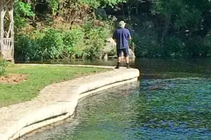 730 E Mather St, New Braunfels, TX 78130 - Photo 5