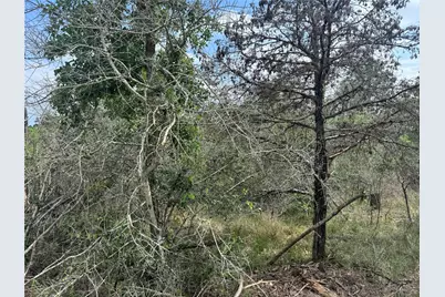Lots 1263, 1264, 1265 Hanauma Drive, Bastrop, TX 78602 - Photo 5