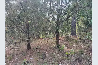 Lots 1263, 1264, 1265 Hanauma Drive, Bastrop, TX 78602 - Photo 7
