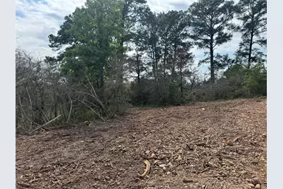 Lots 1263, 1264, 1265 Hanauma Drive, Bastrop, TX 78602 - Photo 3