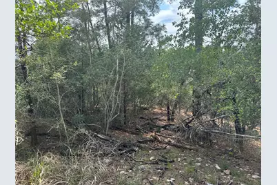 Lots 1263, 1264, 1265 Hanauma Drive, Bastrop, TX 78602 - Photo 9