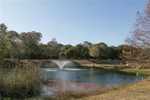 700 Mandarin Flyway, Cedar Park, TX 78613 - Photo 37