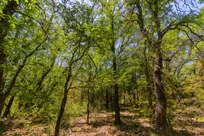 Tbd County Road 180 72 Ac Road, Purmela, TX 76566 - Photo 25
