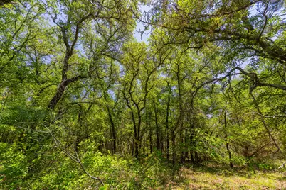 Tbd County Road 180 72 Ac Road, Purmela, TX 76566 - Photo 13