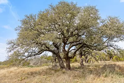 727 Becker Road, Johnson City, TX 78636 - Photo 1