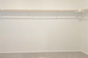 1117 Nesting Bird Dr, Georgetown, TX 78628 - Photo 17