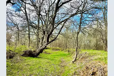 1118 County Road 447, Waelder, TX 78959 - Photo 7