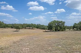 169 Blackbuck Rdg Dr, Lampasas, TX 76550 - Photo 27