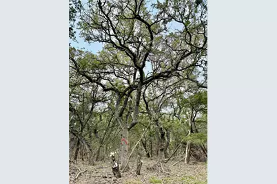 202,204,208 Thomas Oaks Drive, Wimberley, TX 78676 - Photo 13